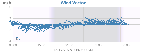 Wind Vector