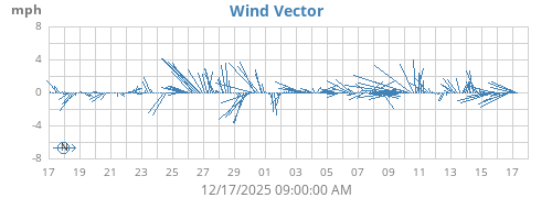 Wind Vector