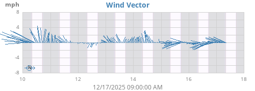 Wind Vector
